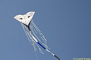 32 FESTIVAL CERVIA 2012 - 246